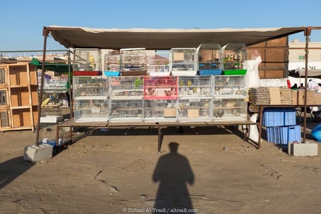 zuhair_altraifi_photography-1153