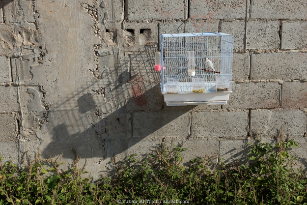 zuhair_altraifi_photography-1249