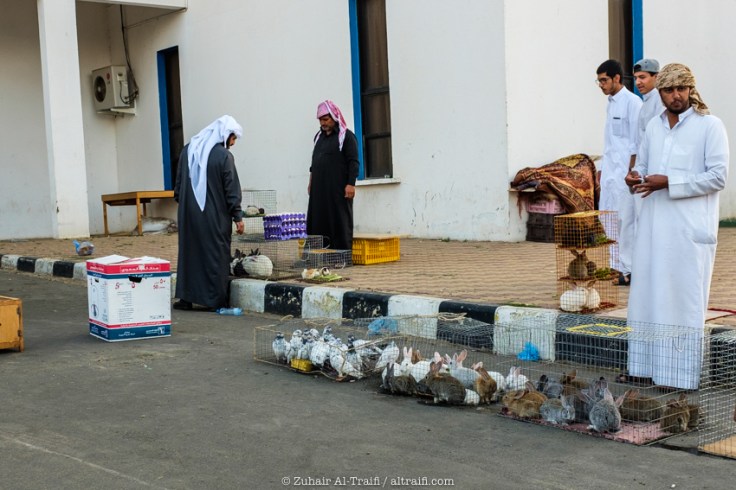 zuhair_altraifi_photography-1024