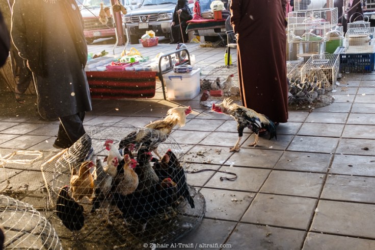 zuhair_altraifi_photography-8114