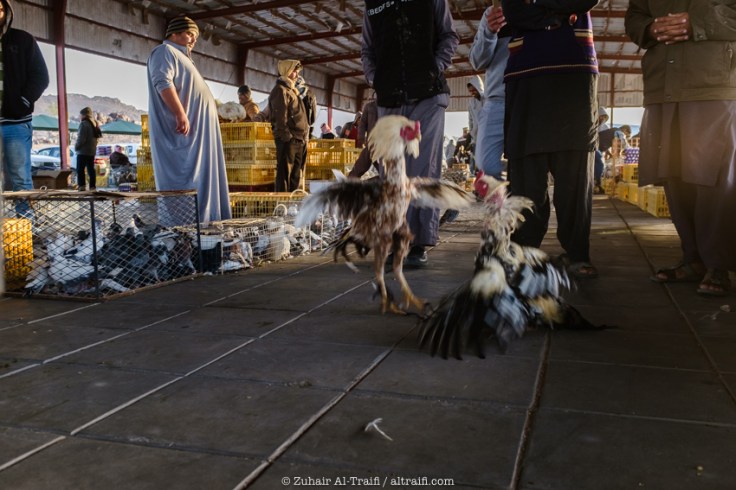 zuhair_altraifi_photography-8134